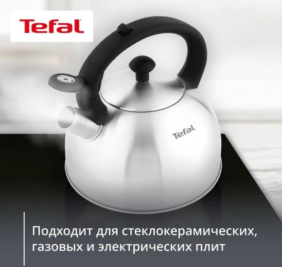 Чайник металлический Tefal Wawe N4210117 2.5л. серебристый (3110602015) Чайник металлический Tefal Wawe N4210117 2.5л. серебристый (3110602015)