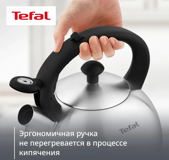 Чайник металлический Tefal Wawe N4210117 2.5л. серебристый (3110602015) Чайник металлический Tefal Wawe N4210117 2.5л. серебристый (3110602015)