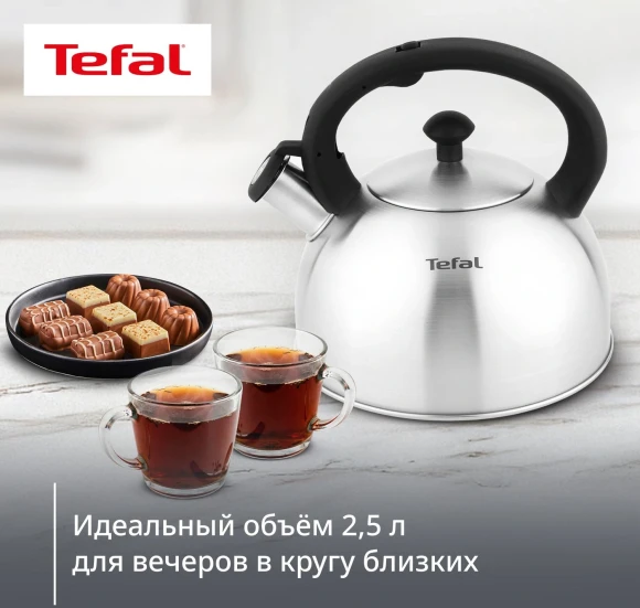 Чайник металлический Tefal Wawe N4210117 2.5л. серебристый (3110602015) Чайник металлический Tefal Wawe N4210117 2.5л. серебристый (3110602015)