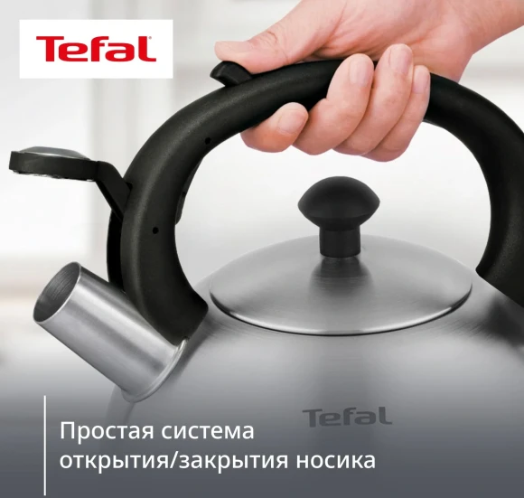 Чайник металлический Tefal Wawe N4210117 2.5л. серебристый (3110602015) Чайник металлический Tefal Wawe N4210117 2.5л. серебристый (3110602015)