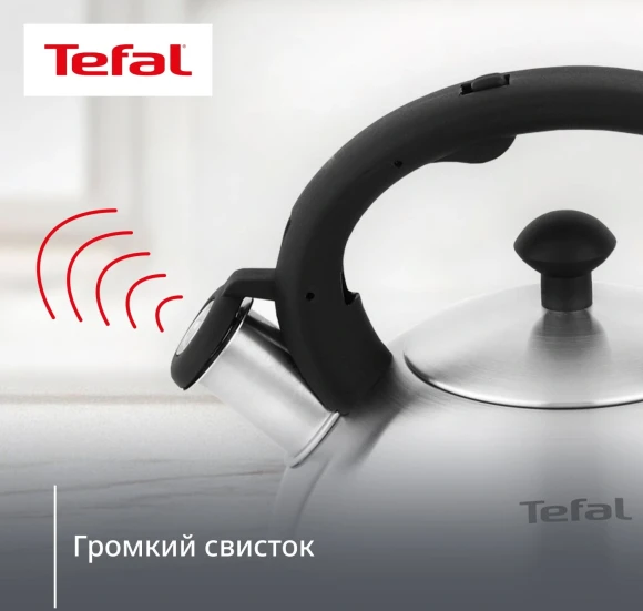 Чайник металлический Tefal Wawe N4210117 2.5л. серебристый (3110602015) Чайник металлический Tefal Wawe N4210117 2.5л. серебристый (3110602015)