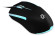 Мышь Оклик 245M черный оптическая 1000dpi USB 3but (471479)
