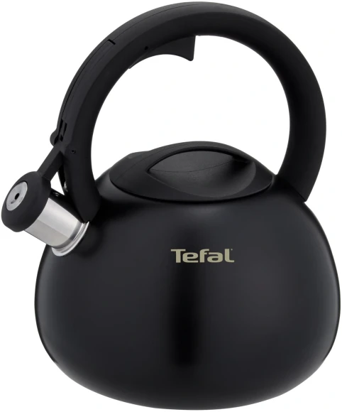 Чайник металлический Tefal Intuition N4180417 2.5л. черный (3110601825)