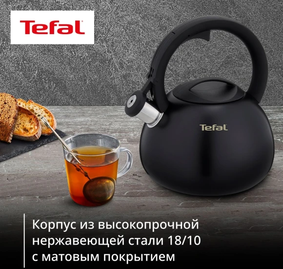 Чайник металлический Tefal Intuition N4180417 2.5л. черный (3110601825)