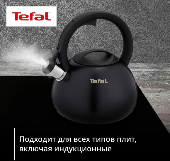 Чайник металлический Tefal Intuition N4180417 2.5л. черный (3110601825)