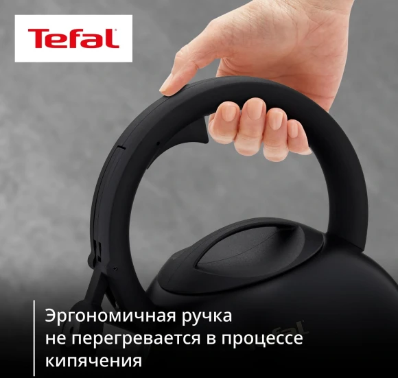Чайник металлический Tefal Intuition N4180417 2.5л. черный (3110601825)