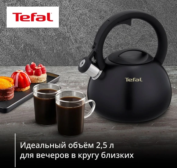 Чайник металлический Tefal Intuition N4180417 2.5л. черный (3110601825)
