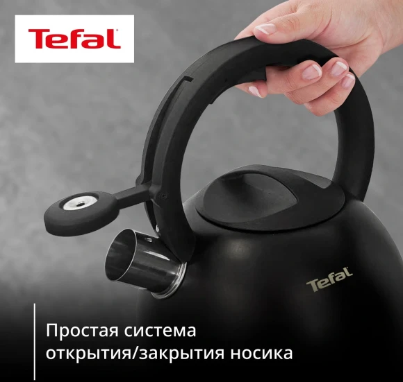 Чайник металлический Tefal Intuition N4180417 2.5л. черный (3110601825)