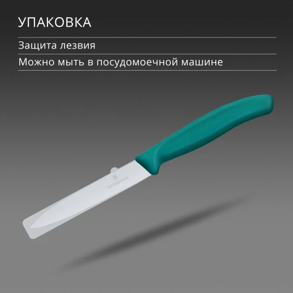 Нож кухонный Victorinox Swiss Classic (6.7704.C1) для овощей лезв.100мм прямая заточка зеленый Нож кухонный Victorinox Swiss Classic (6.7704.C1) для овощей лезв.100мм прямая заточка зеленый