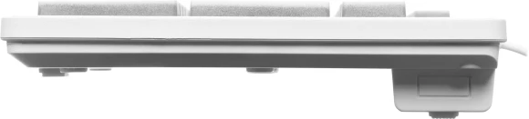 Клавиатура Оклик 550ML белый USB slim Multimedia LED (1061618) кабель 1.5м Клавиатура Оклик 550ML белый USB slim Multimedia LED (1061618) кабель 1.5м