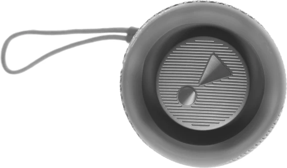 Колонка порт. JBL Flip 6 серый 30W 1.0 BT 10м 4800mAh (JBLFLIP6GREY)