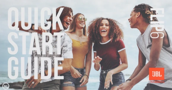 Колонка порт. JBL Flip 6 серый 30W 1.0 BT 10м 4800mAh (JBLFLIP6GREY)