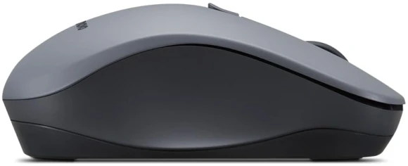 Мышь Lenovo WL310 Bluetooth Silent черный оптическая 1600dpi silent беспров. 5but (GY51Q65621) Мышь Lenovo WL310 Bluetooth Silent черный оптическая 1600dpi silent беспров. 5but (GY51Q65621)