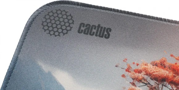 Коврик для мыши Cactus Lake рисунок 400x300x3мм (CS-MP-PRO18XL)
