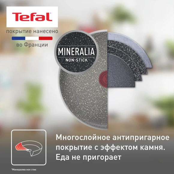 Сковорода Tefal Natural Cook 04234924 круглая 24см ручка несъемная (с крышкой) серый (9100052848)