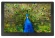 Фоторамка Digma 10.1" PF-1043 IPS 1280x800 черный пластик ПДУ Видео Фоторамка Digma 10.1" PF-1043 IPS 1280x800 черный пластик ПДУ Видео