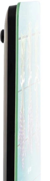 Весы кухонные электронные Vitek VT-2415 макс.вес:10кг рисунок