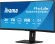 Монитор Iiyama 34" ProLite XCB3497WQSNPH-B1 черный VA LED 21:9 HDMI M/M Cam матовая HAS Piv 3000:1 350cd 178гр/178гр 3440x1440 120Hz FreeSync Premium DP UW USB 9.7кг