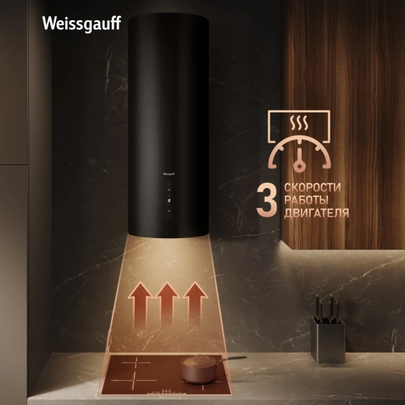 Вытяжка каминная Weissgauff Tubus 90 Black Edition черный управление: кнопочное (1 мотор)