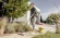 Строительный пылесос Karcher WD 2 Plus V-12/4/18 1000Вт (уборка: сухая/влажная/выдув/сбор воды) желтый Строительный пылесос Karcher WD 2 Plus V-12/4/18 1000Вт (уборка: сухая/влажная/выдув/сбор воды) желтый