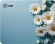 Коврик для мыши Cactus Daisies рисунок 250x200x3мм (CS-MP-D07S)