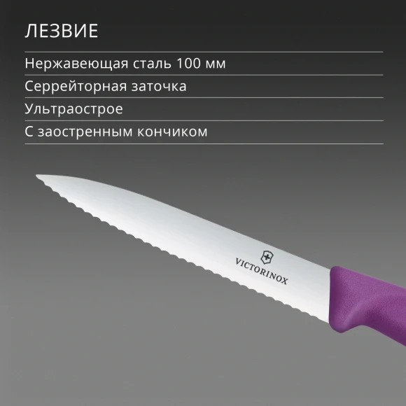 Нож кухонный Victorinox Swiss Classic (6.7735.C1) для чистки овощей и фруктов лезв.100мм серрейт. заточка пурпурный Нож кухонный Victorinox Swiss Classic (6.7735.C1) для чистки овощей и фруктов лезв.100мм серрейт. заточка пурпурный