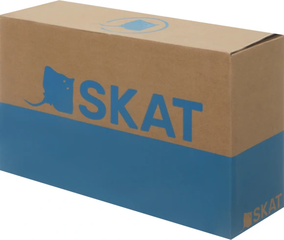 Источник бесперебойного питания Бастион Skat 800-AID-IN-1x9-8 480Вт 800ВА черный Источник бесперебойного питания Бастион Skat 800-AID-IN-1x9-8 480Вт 800ВА черный