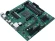 Материнская плата Asus PRO B550M-C/CSM Soc-AM4 AMD B550 4xDDR4 mATX AC`97 8ch(7.1) GbLAN RAID+HDMI+DP
