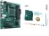 Материнская плата Asus PRO B550M-C/CSM Soc-AM4 AMD B550 4xDDR4 mATX AC`97 8ch(7.1) GbLAN RAID+HDMI+DP