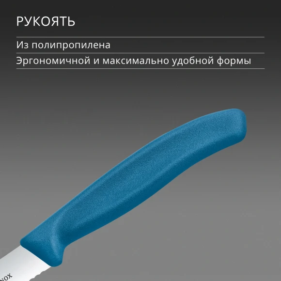 Нож кухонный Victorinox Swiss Classic (6.7732.C1) для чистки овощей и фруктов лезв.100мм серрейт. заточка синий Нож кухонный Victorinox Swiss Classic (6.7732.C1) для чистки овощей и фруктов лезв.100мм серрейт. заточка синий