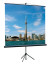 Экран на треноге Lumien 100" 180x180см Eco View LEV-100102 1:1 напольный рулонный