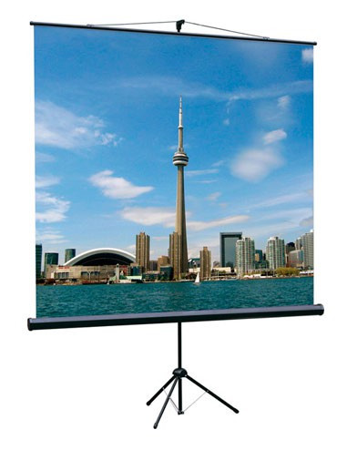 Экран на треноге Lumien 100" 180x180см Eco View LEV-100102 1:1 напольный рулонный