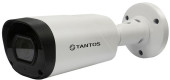 Камера видеонаблюдения аналоговая Tantos TSc-P1080pUVCv 2.8-12мм HD-CVI HD-TVI цв. корп.:белый/черный (00-00156691) Камера видеонаблюдения аналоговая Tantos TSc-P1080pUVCv 2.8-12мм HD-CVI HD-TVI цв. корп.:белый/черный (00-00156691)