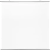 Экран Cactus 180x180см Map type CS-PSRM-180x180-WT 1:1 настенно-потолочный рулонный белый Экран Cactus 180x180см Map type CS-PSRM-180x180-WT 1:1 настенно-потолочный рулонный белый