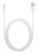 Кабель Apple A1510 MD819ZM/A USB (m)-Lightning (m) 2м белый Кабель Apple A1510 MD819ZM/A USB (m)-Lightning (m) 2м белый