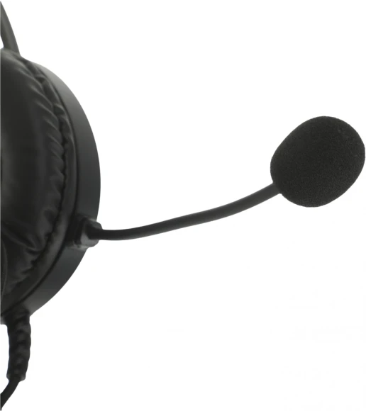 Наушники с микрофоном A4Tech Fstyler FH200i серый 1.8м накладные оголовье (FH200I GREY) Наушники с микрофоном A4Tech Fstyler FH200i серый 1.8м накладные оголовье (FH200I GREY)