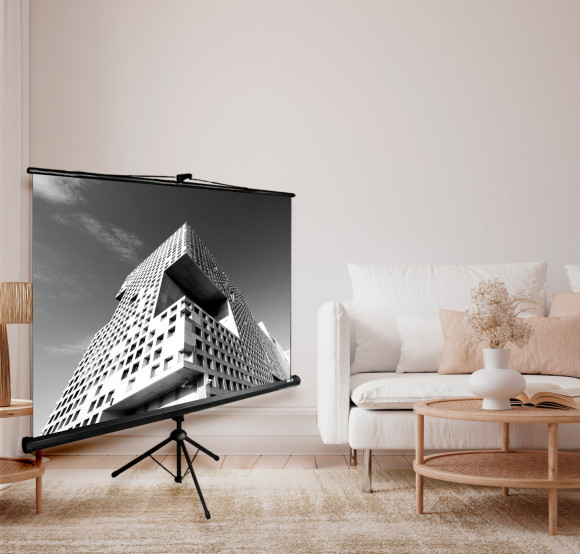 Экран Cactus 100" 180x180см TriExpert CS-PSTE-180x180-BK 1:1 напольный рулонный черный