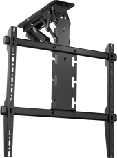 Кронштейн для телевизора Onkron N3LE-B черный 50"-75" макс.40кг потолочный наклон