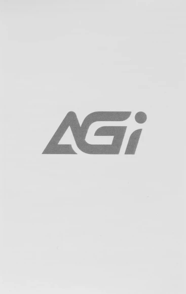 Накопитель SSD AGi PCIe 3.0 x4 2TB AGI2T0GIMAI298-CB AI298 M.2 2280 Накопитель SSD AGi PCIe 3.0 x4 2TB AGI2T0GIMAI298-CB AI298 M.2 2280