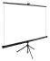 Экран Cactus 89" 135x180см TriExpert CS-PSTE-180x135-BK 4:3 напольный рулонный черный