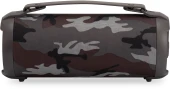 Колонка порт. Digma D-PS1520 камуфляж/камуфляж 16W 1.0 BT 10м 1500mAh (SP1520C) Колонка порт. Digma D-PS1520 камуфляж/камуфляж 16W 1.0 BT 10м 1500mAh (SP1520C)