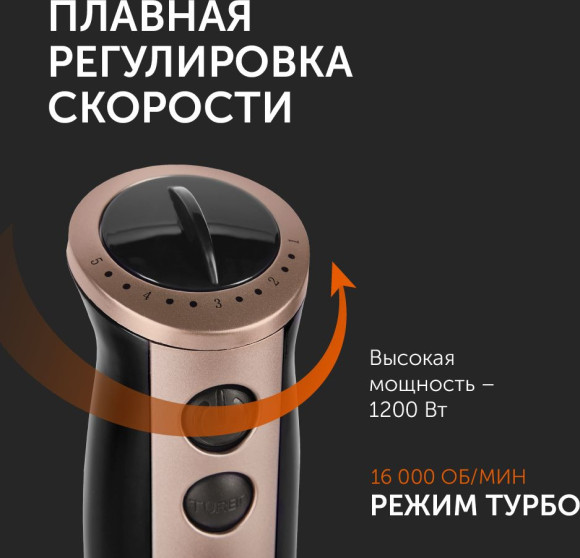 Блендер погружной Red Solution RHB-2948 1200Вт черный/шампань