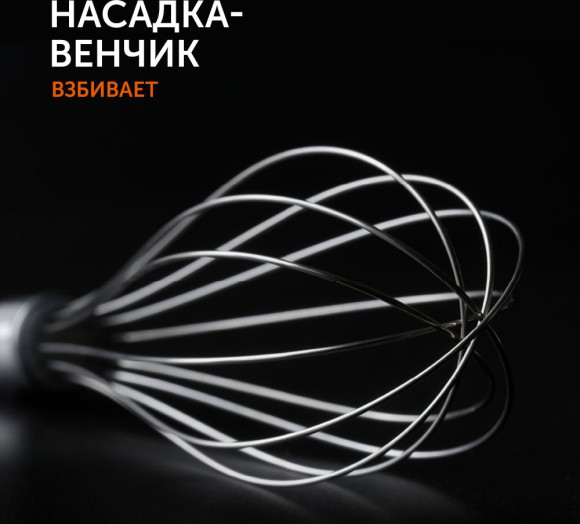 Блендер погружной Red Solution RHB-2948 1200Вт черный/шампань