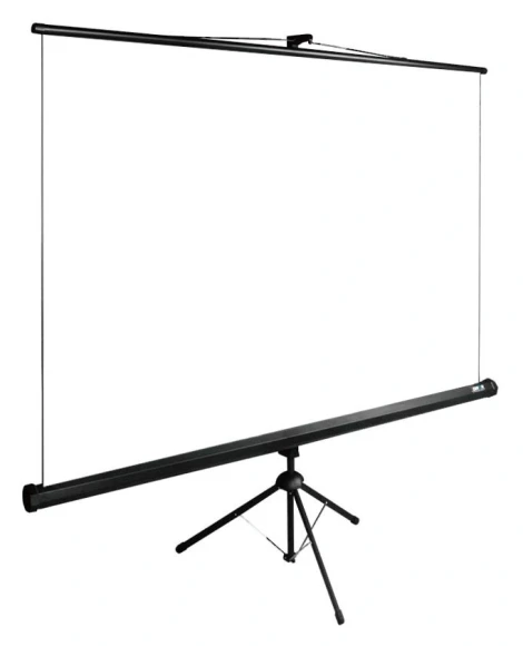 Экран Cactus 108" 165x220см TriExpert CS-PSTE-220x165-BK 4:3 напольный рулонный черный