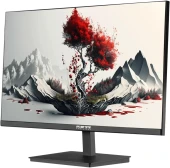 Монитор RDW Computers 23.8" RDW2401K черный IPS 4ms 16:9 HDMI M/M матовая HAS Piv 1000:1 300cd 178гр/178гр 1920x1080 100Hz VGA DP FHD 1.7кг (RUS)