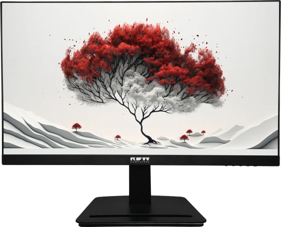 Монитор RDW Computers 23.8" RDW2401K черный IPS 4ms 16:9 HDMI M/M матовая HAS Piv 1200:1 300cd 178гр/178гр 1920x1080 100Hz VGA DP FHD 1.7кг (RUS)