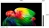 Телевизор OLED LG 83" OLED83B6RLA.ARUG коричневый/серый 4K Ultra HD 120Hz DVB-T2 DVB-C DVB-S2 USB WiFi Smart TV Телевизор OLED LG 83" OLED83B6RLA.ARUG коричневый/серый 4K Ultra HD 120Hz DVB-T2 DVB-C DVB-S2 USB WiFi Smart TV
