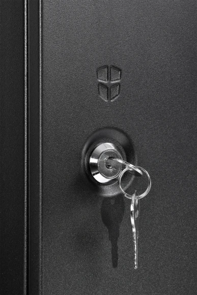 Шкаф коммутационный ЦМО ШРН-Эконом (ШРН-Э-12.350.1-9005) настенный 12U 600x350мм пер.дв.металл направл.под закл.гайки 85кг черный 300мм 15.39кг 180град. 608мм IP20 сталь