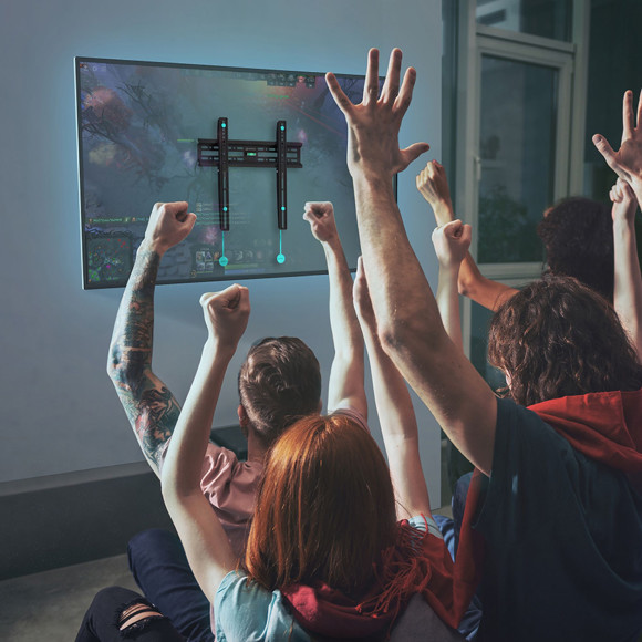 Кронштейн для телевизора Onkron FM2 черный 32"-65" макс.50кг настенный фиксированный Кронштейн для телевизора Onkron FM2 черный 32"-65" макс.50кг настенный фиксированный