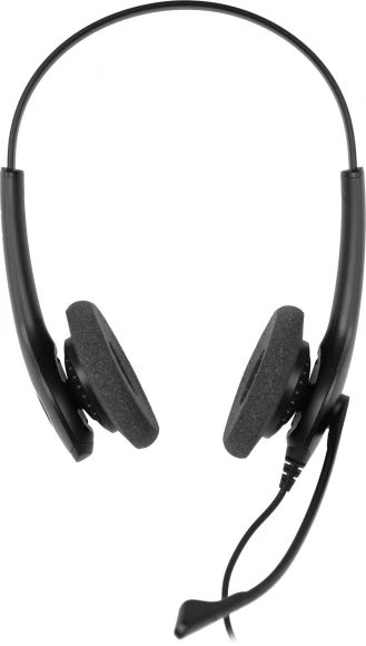 Наушники с микрофоном Jabra BIZ 1500 Duo черный 2.3м накладные USB оголовье (1559-0159) Наушники с микрофоном Jabra BIZ 1500 Duo черный 2.3м накладные USB оголовье (1559-0159)